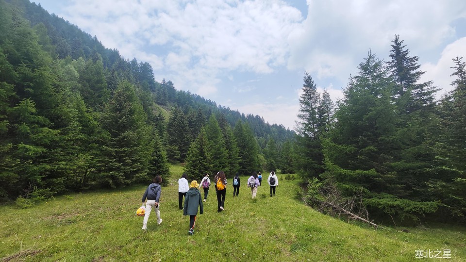 791daa05f77e2c8f23a187952354408