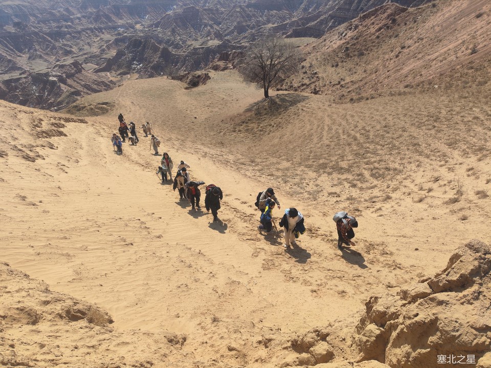 2f3f5ec8bdd1b4b70465f7d103997d7