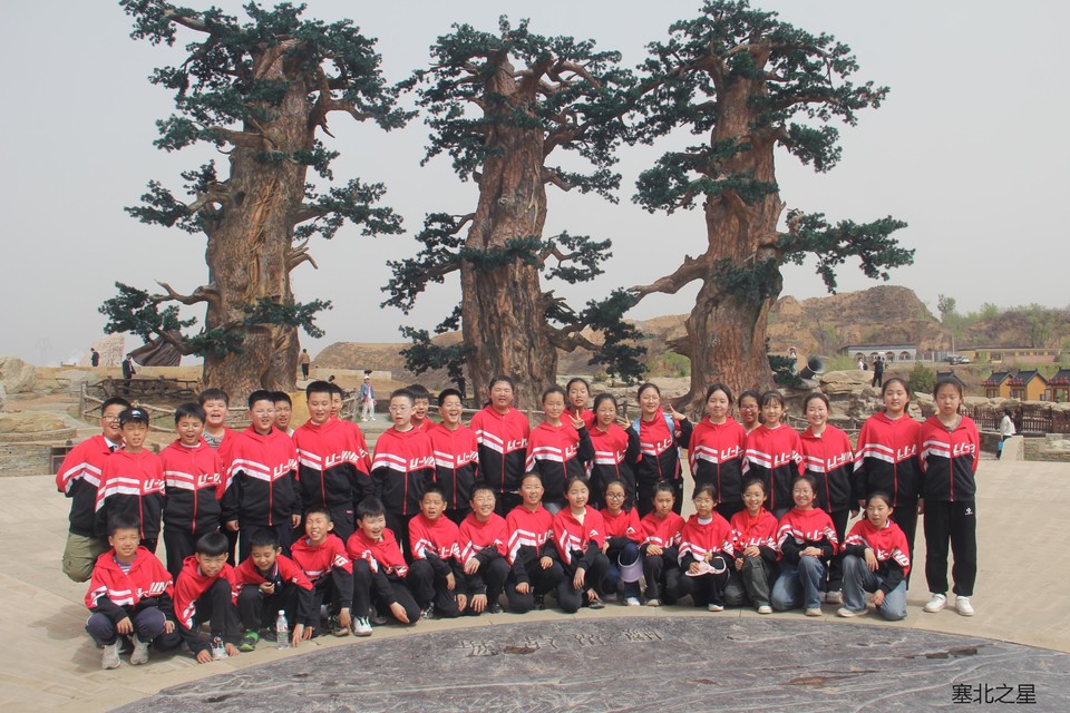 1bd95984f7db073f69ef8ad4144e761