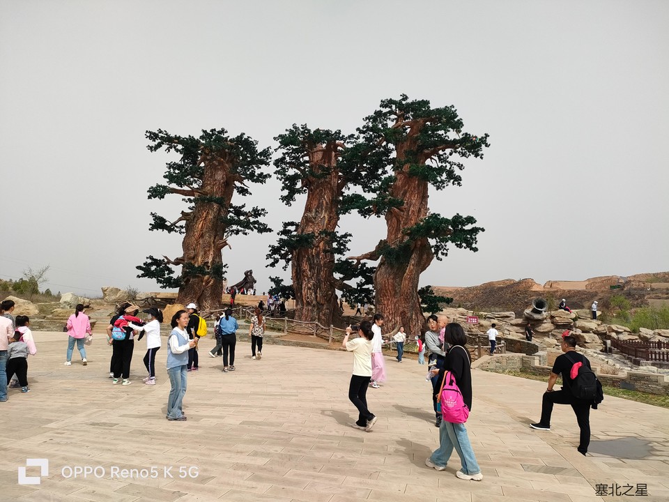 094b3517892d4f06fddd45b7cc090a4