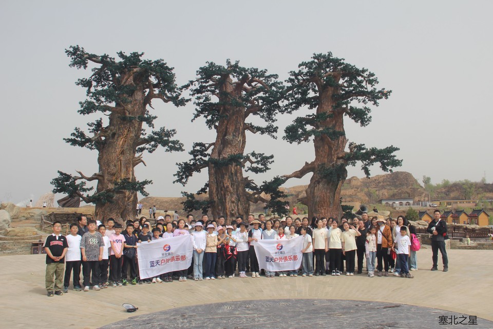 2427aa8441e41c868f7fcb73e664349