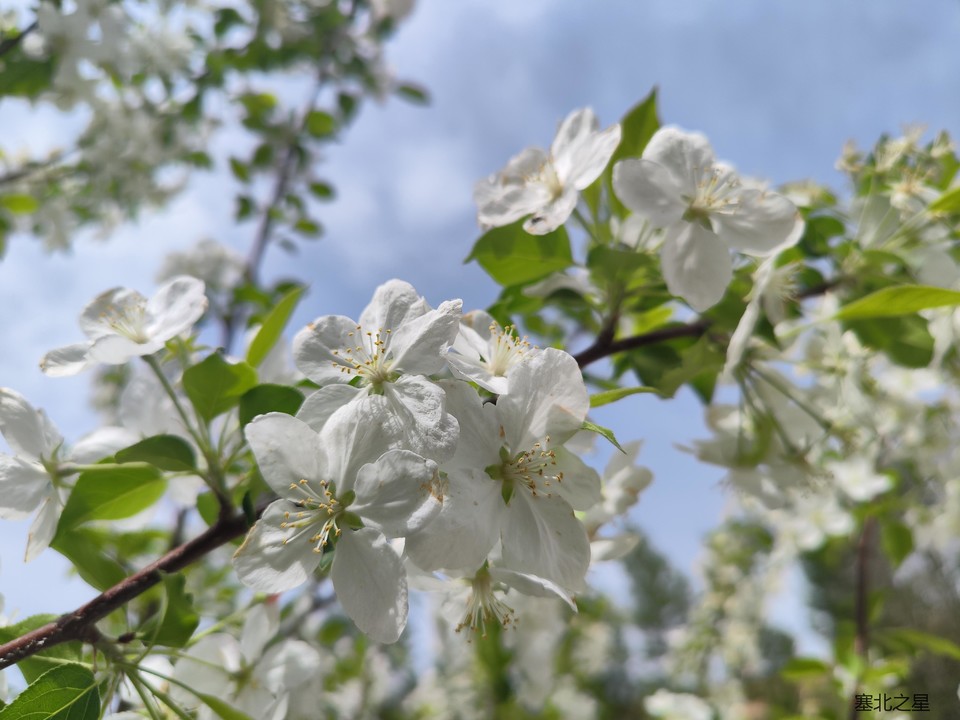 b070a2061310d79b6e3f23b2a058857