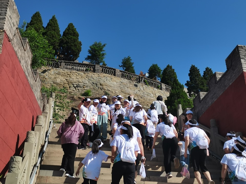 2c8744572ffcd206110620321eeaa17