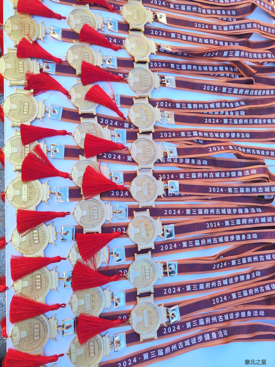 a892579a0bf7dcb30313823bbc62bc8