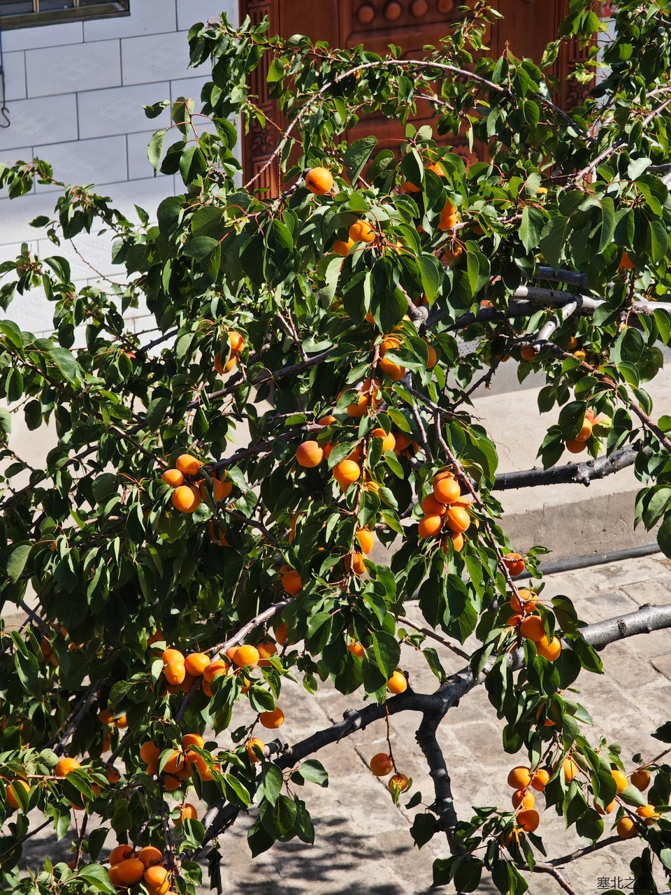 fe9ebebc03708aaea2ce45aea5543c3