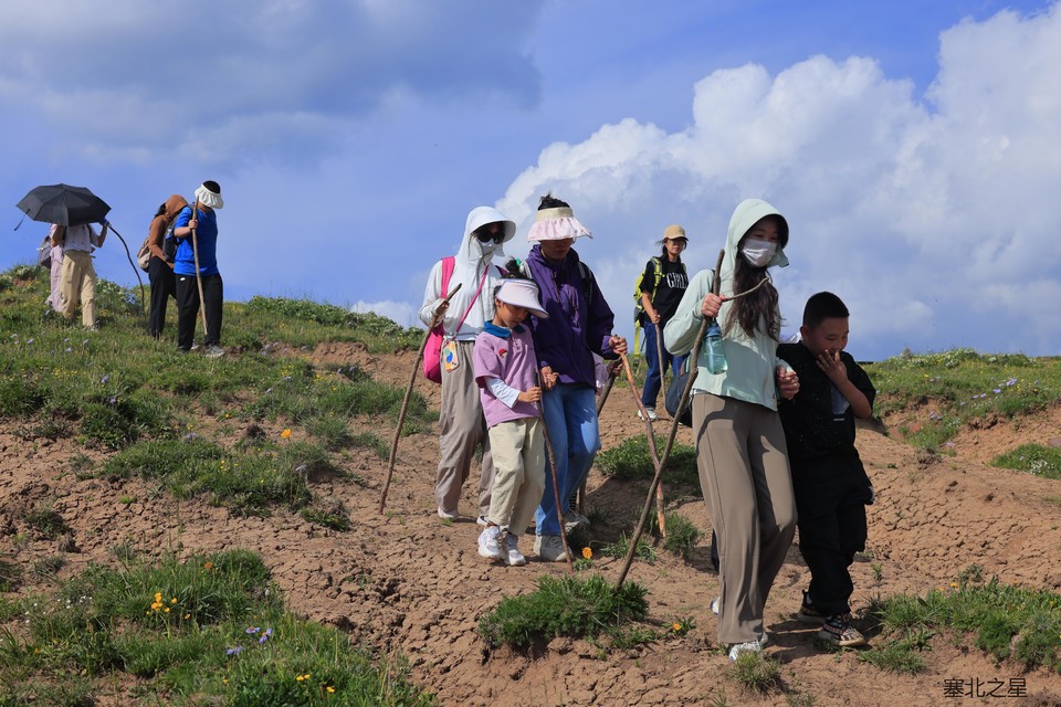 008e41bec7d23f2880bda4e20c6ef29