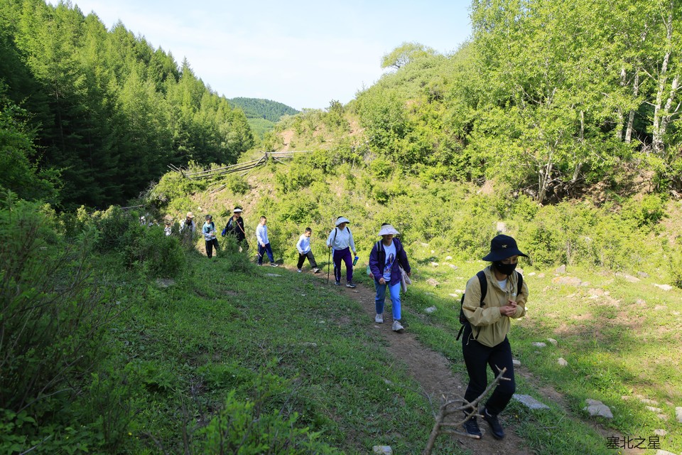 789ed415a11bdb32ac6caceea22dda5