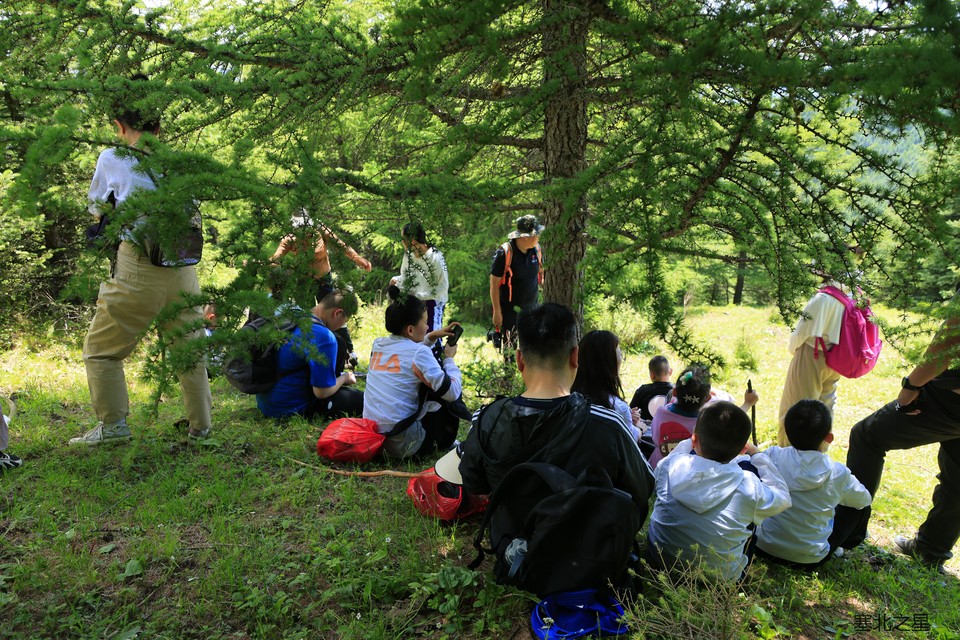 7012b1fe844cb75a48c79ba4b843858