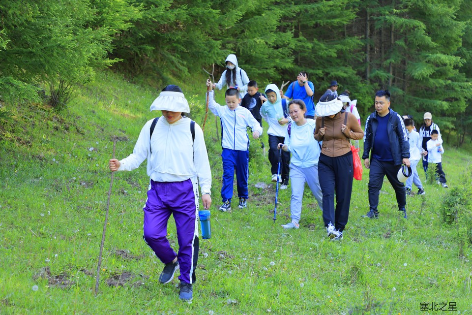 31613fc8b56f1dc4d52752cc2042be1