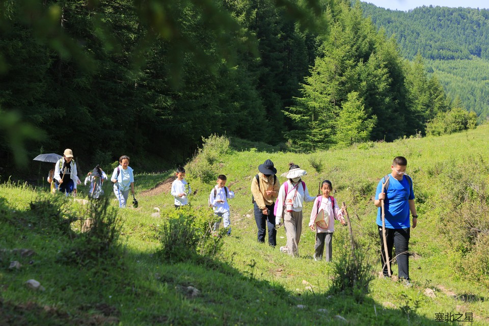 96680ebf26c8a47c28d7320df3a99a5