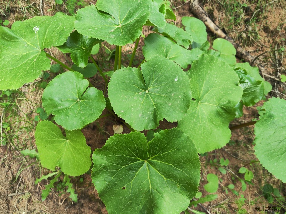 a8e4b18c7ef8ff4be51edfff2073443