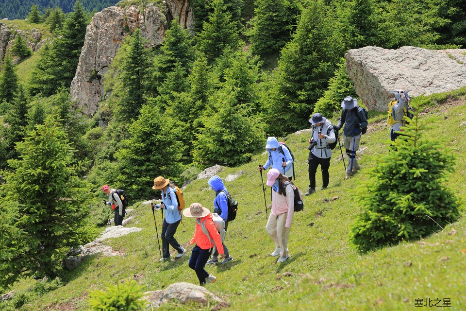 d44a29c8c9f4c3a02c18b1810f3b033