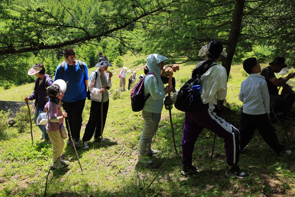 e8ac8be441511432602f5518ea9b4ec