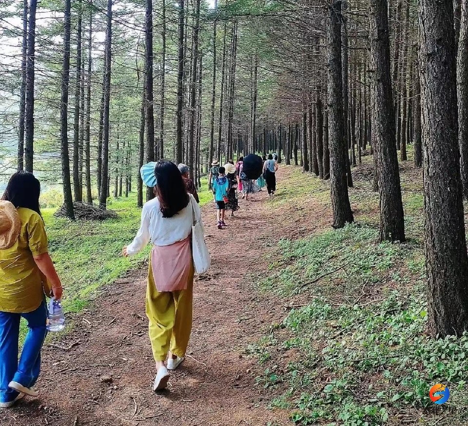 0b2ddfcf3190905858cd0d101d625fd