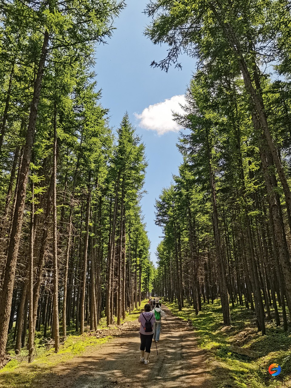 5e5980b8f894c81ca8eb01c69e7f0c6