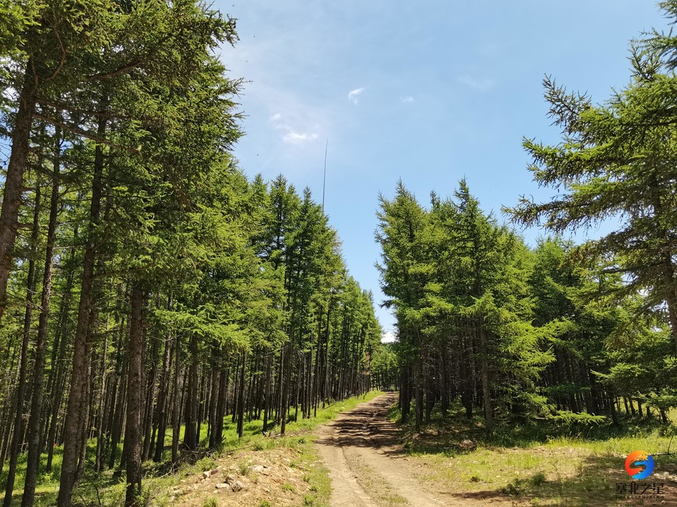 e6948926b6769afd98ff7b87ccd4918