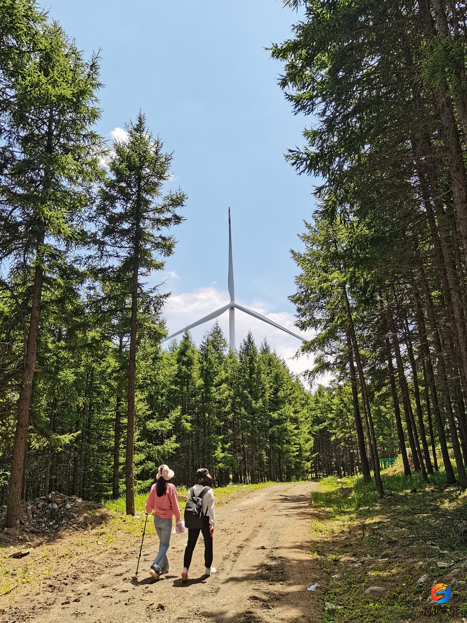 微信图片_20240706194643