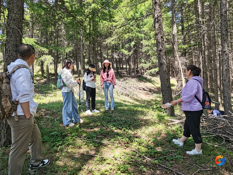 微信图片_20240706194701