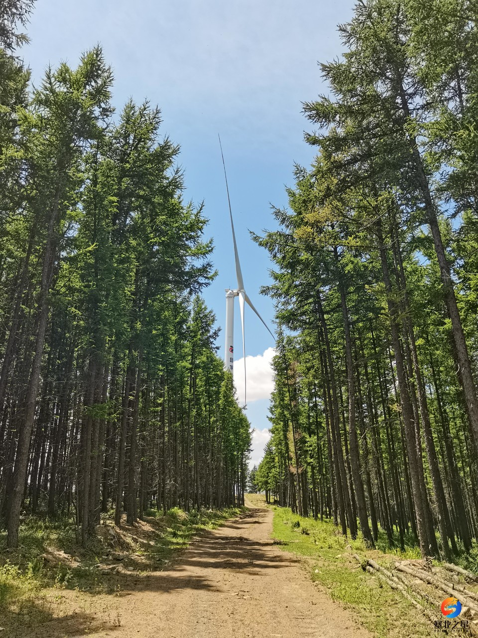 微信图片_20240706195006