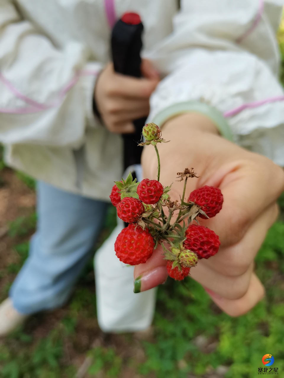 微信图片_20240706195237