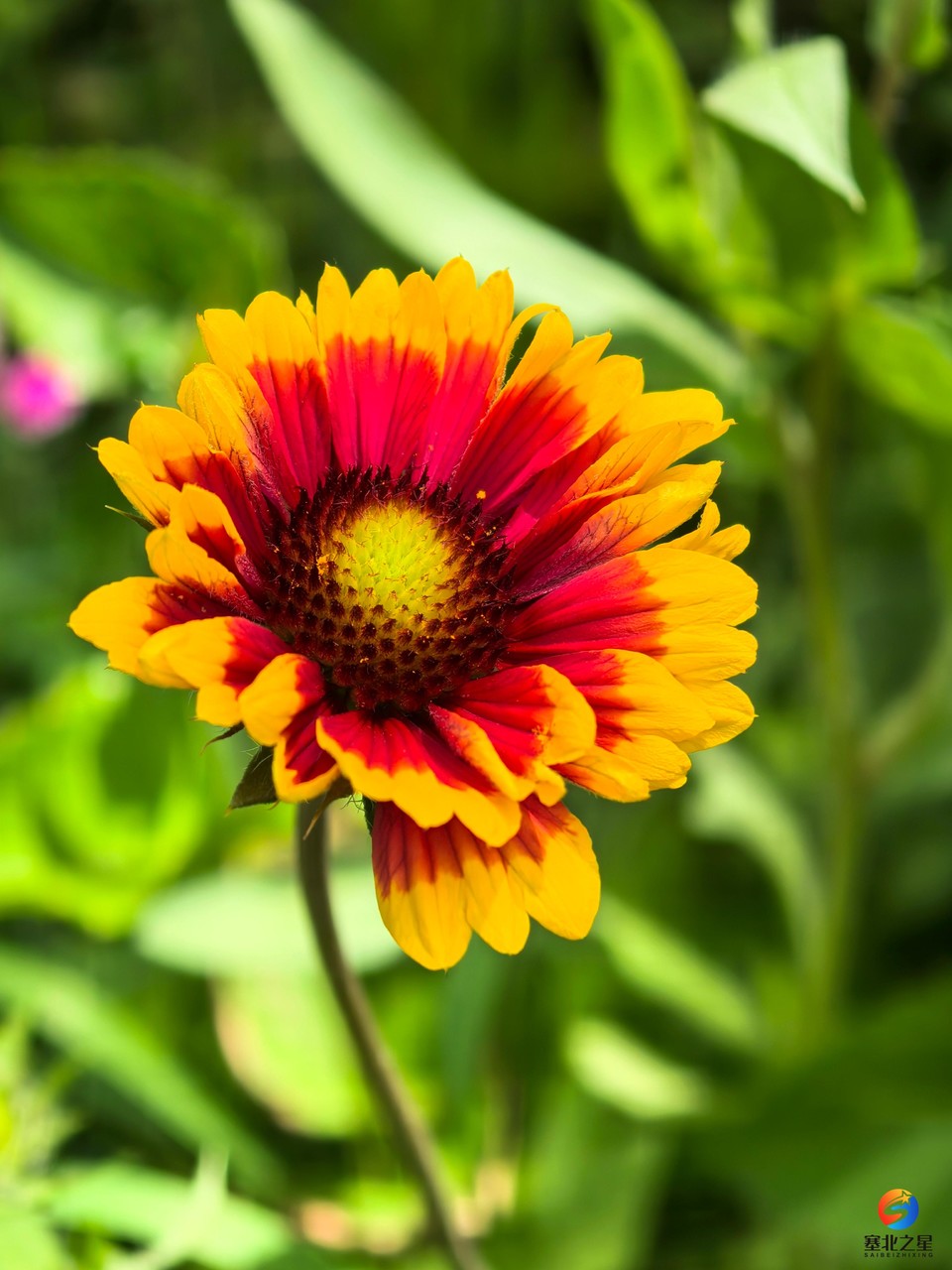 7102e8e80e5b018c3c11dcbf6137517