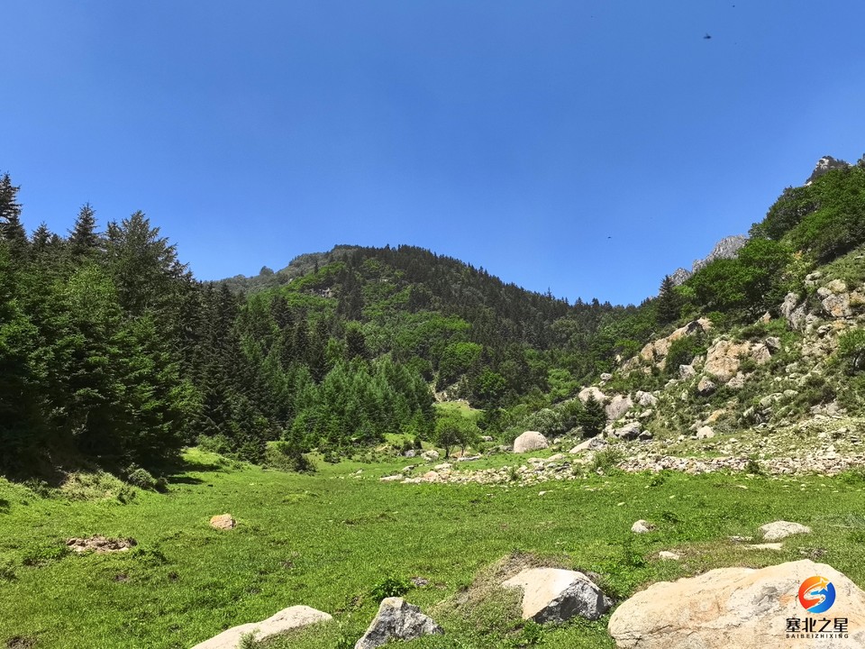 c7596c4ba8b0784ee1ea0200cd74ef8