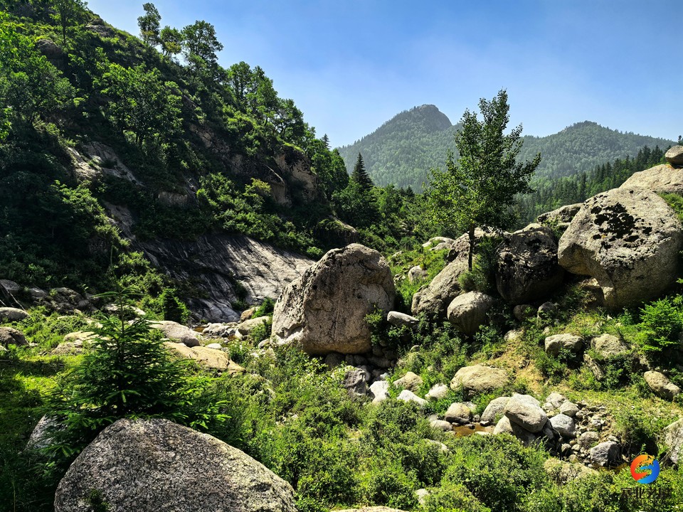 da5d46ee4963f3fa69e2da5dd4e4f06