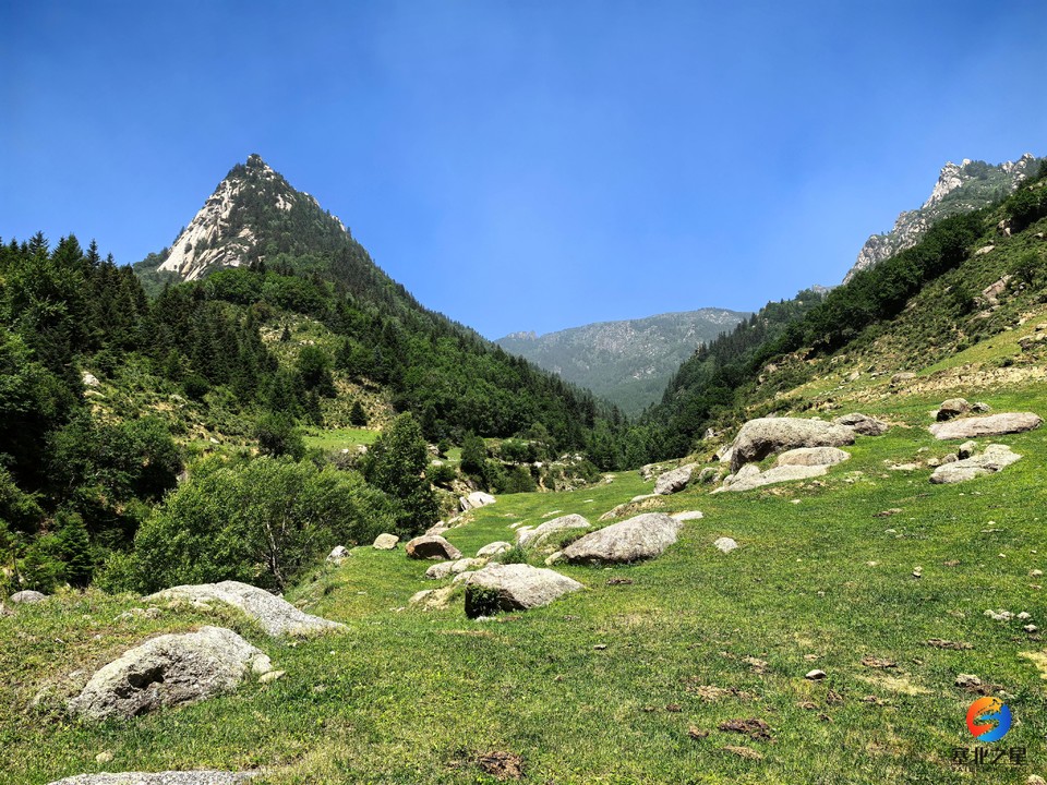 e9187aa3e632afae17acf7fe160a339