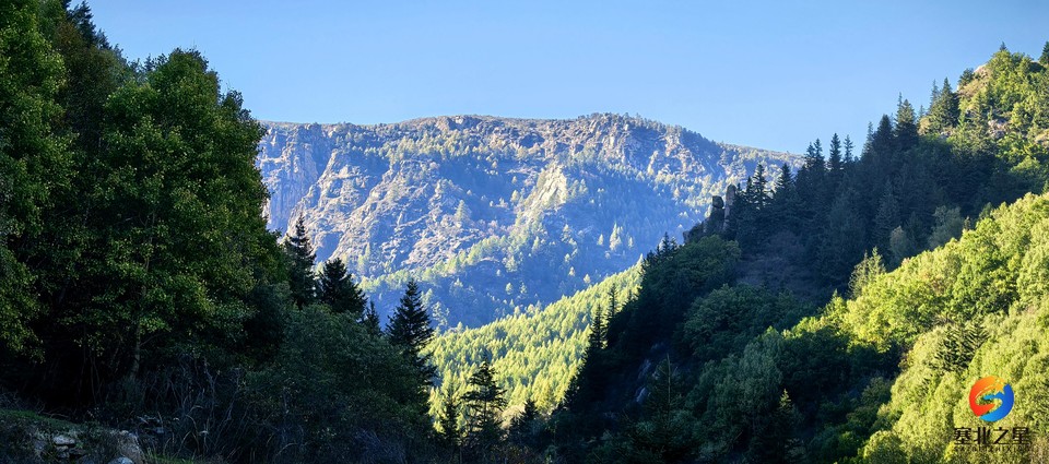 0G22tm0ZMG84TfCI9NRDDUbEBIEEvvKayENd8KYGnVXWY9EtmjyvHs_1S7E0r1nD