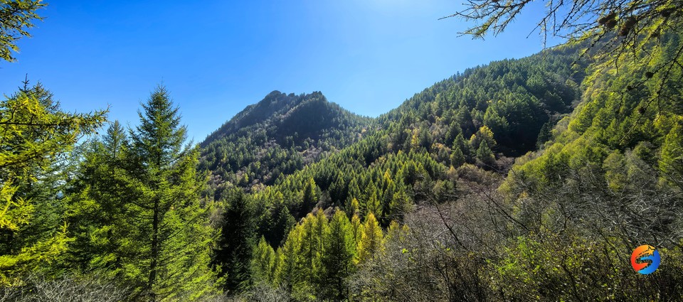 0G22tm0ZMG84TfCI9NRDDdc3Fk2RdS3ydCYyb7iJKCK47mGA-9DOkqFi2bmQIUND