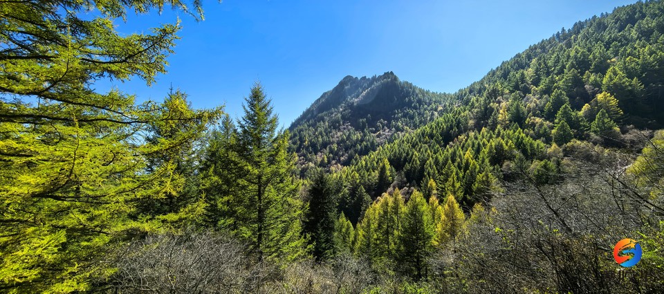 0G22tm0ZMG84TfCI9NRDDTxR2XXhoTp9VfjNo7liDCBi4CymqHsN5G0j3exR_eRI