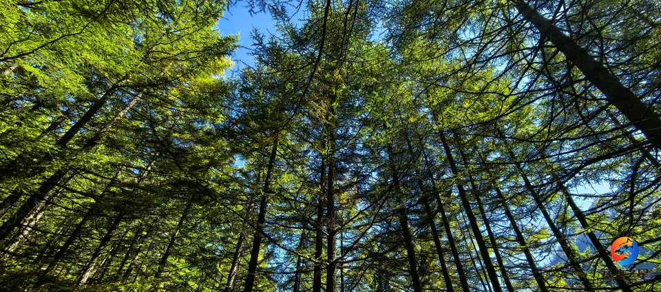 0G22tm0ZMG84TfCI9NRDDcafOeLxMdiuYnTNkKW3SZd9gWt5iNXvuDV1toRsVm9F