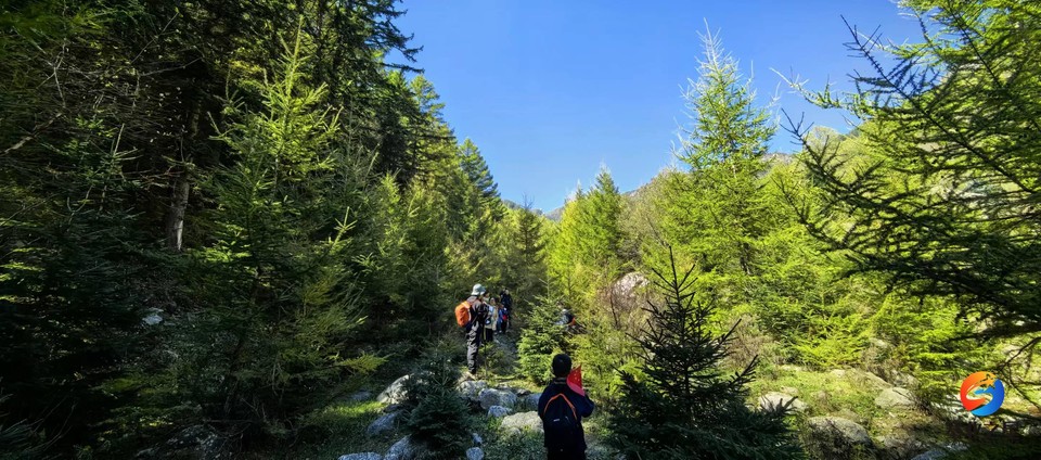 T7cBWZ8y7r7uJFXPqLpChuD0gMbuq4RU5WcMpQOEb1Q0MnBT-LEREyys6CumKlmv