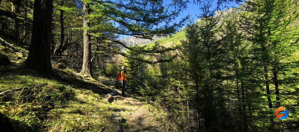 T7cBWZ8y7r7uJFXPqLpChlwU7wqqrnxZcL8eqoS5ikE7YVbXfgxFfmrafKNcINrz