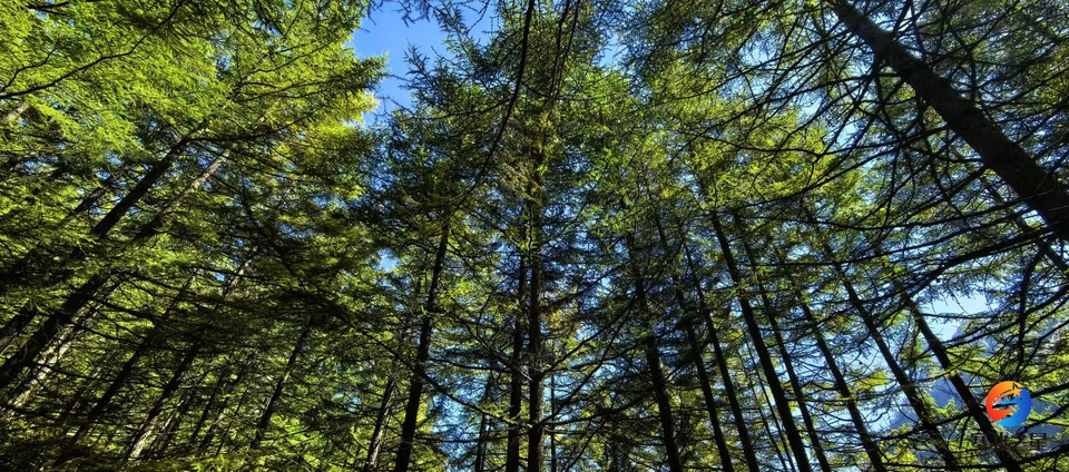 T7cBWZ8y7r7uJFXPqLpChu3aq21kT8lcg032cmlAfOKKD6JdoP7w5afYUlu9BS93