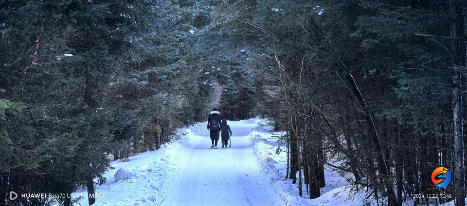 3f3e7ff498f7312cee1070c08171fd1a