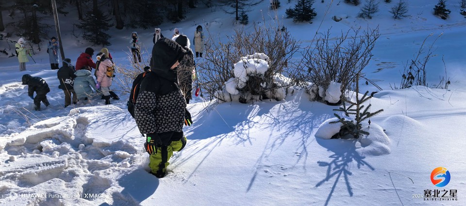 8c77ec49fe76b59a3aae271e97090944