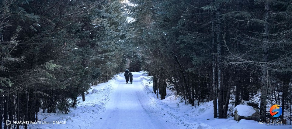 8c01177dac7dc2d4f041ce1dba86f349