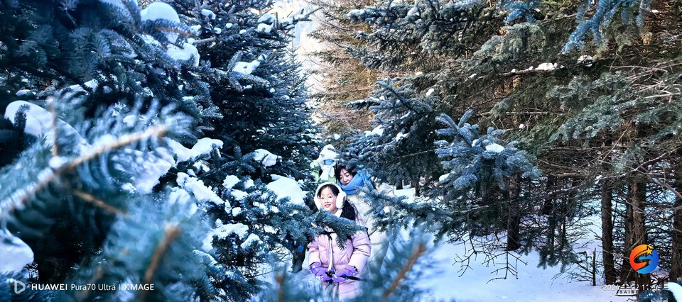 0646daeb2644007bd1a15cc5f1e4d468