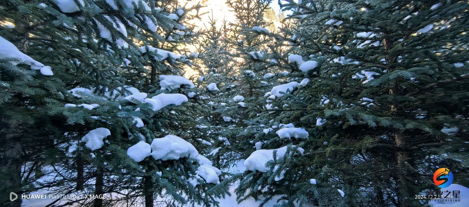 b33cfb6b8bf44c807dcb992f8cbe9d88