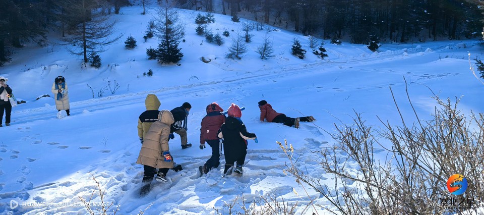 b721762fa5a8073355bfb17e3281c55c