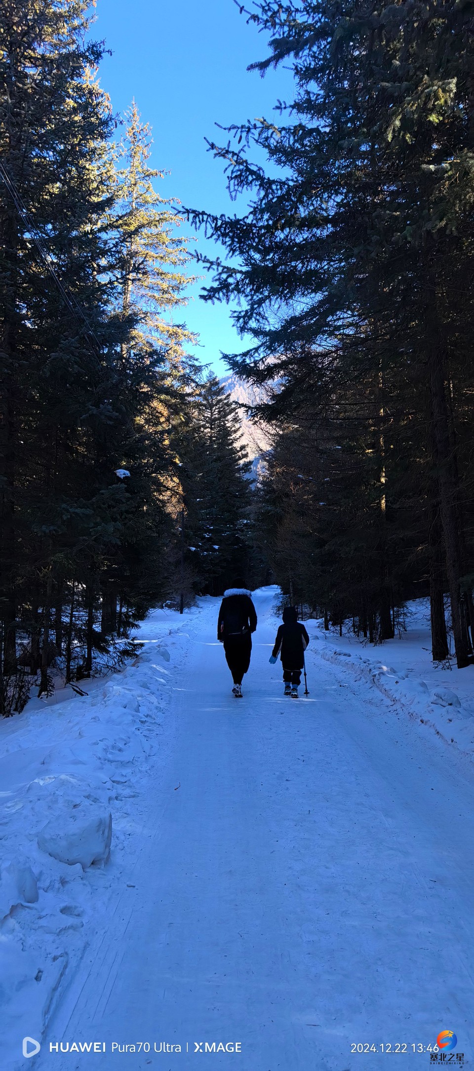 c8e23312261796caac8e8199393271f8