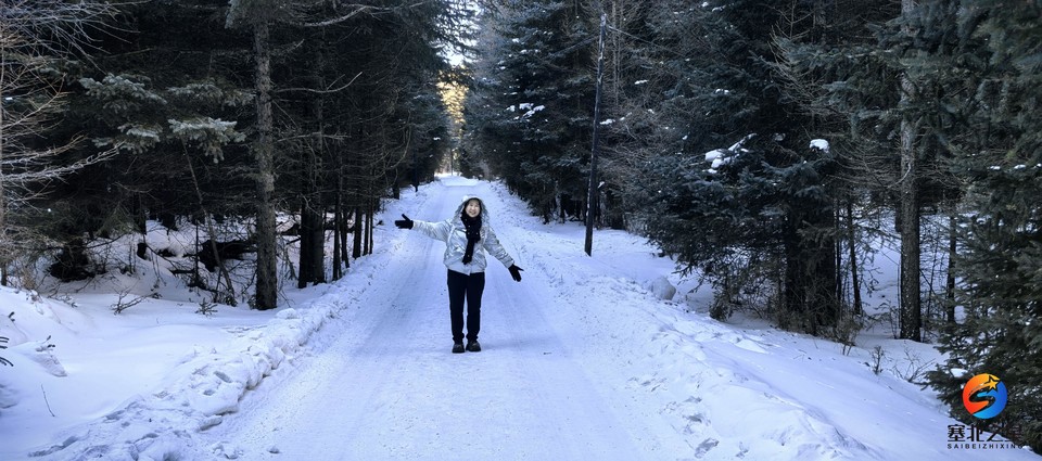 e68f7989a0fa8677cc2c3d67ab261d43