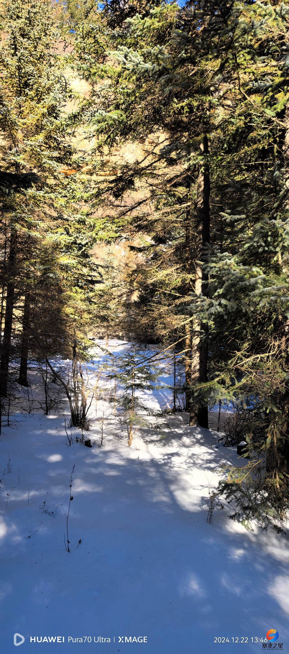 ea52c7c981f7bca78429fdd4dbf7d2e4