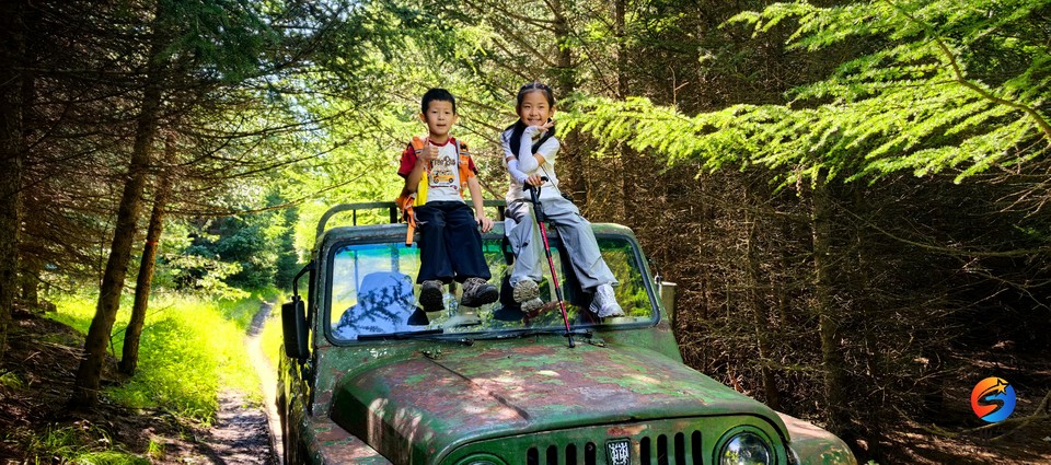 IMG_20250810_093709_1