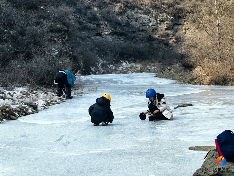 IMG_20260131_132835