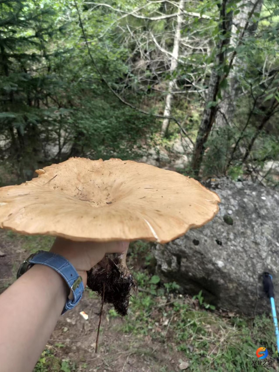 HIlBv953DsxtLuUR0jp1zsnvEaPe-1rsgGW4COiSsdxNlxQBeUGJOlqbXubiGRiO