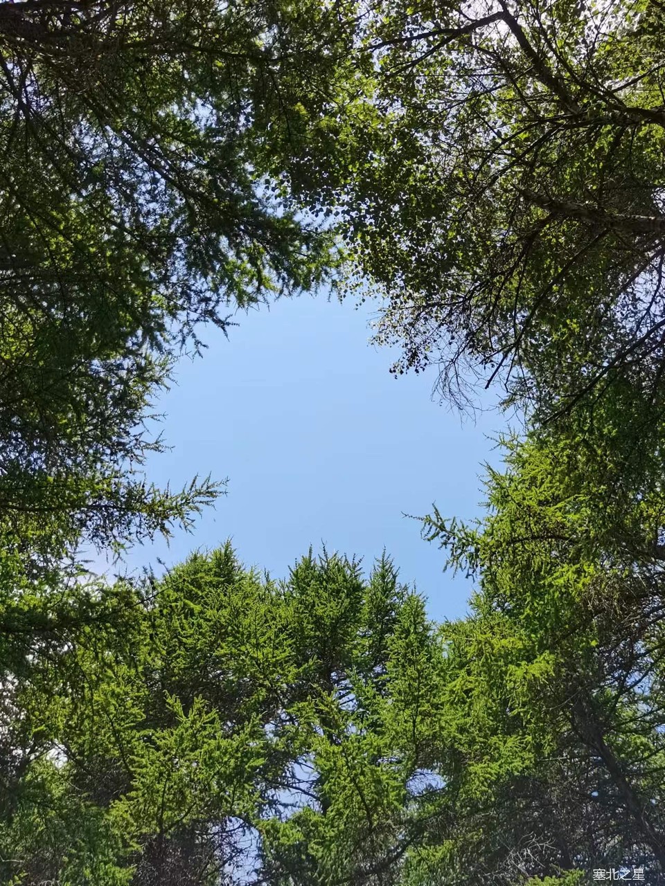 XtUdqp8HFQixHptn6v2heA37eBN85mO2UoUcNo4Yc3N7DUjD_JoIQ55mqxYqj6yP