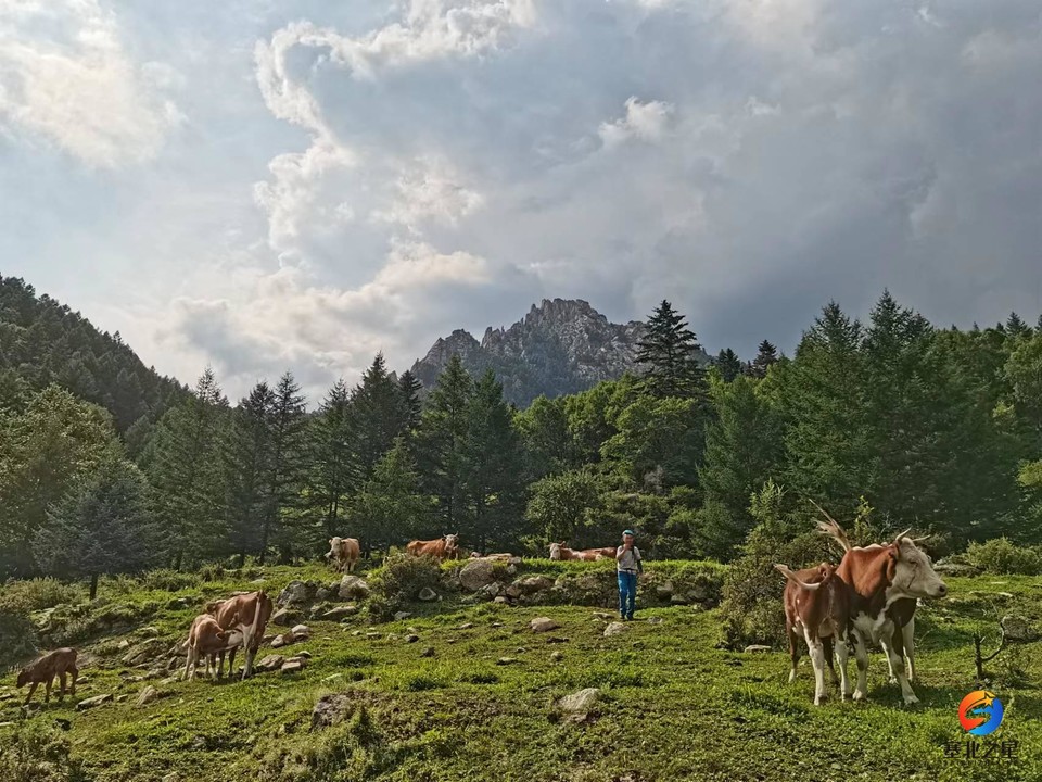 78oH2ZWrXRiagb6rnGpRg5PjolU67ExUnzM6JA7DQ_phRNvaOsEyxdWn8NDzlGSC