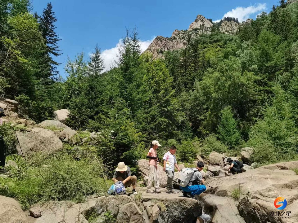 78oH2ZWrXRiagb6rnGpRgzeolHMWBt4n0qjHYTwmEiKBXjmeq3ikeoYf95xa93Jl